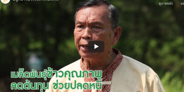 ปลูกข้าวยังไงไม่ให้เป็นหนี้