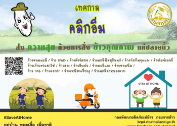 กรมการข้าวเปิดตลาดออนไลน์ ช่วยชาวนาเพิ่มช่องทางขาย ช่วงสู้ภัยโควิด-19