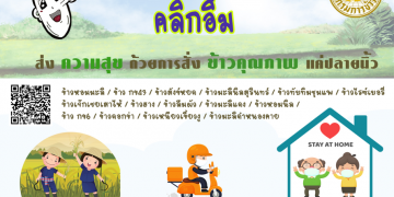 กรมการข้าวเปิดตลาดออนไลน์ ช่วยชาวนาเพิ่มช่องทางขาย ช่วงสู้ภัยโควิด-19