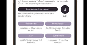 ไม่ทิ้งเกษตรกร เตรียมพร้อมลงทะเบียนรับเงินเยียวยา 1.5 หมื่นบาท