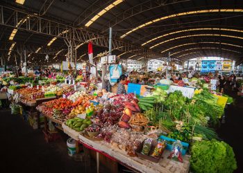 ตลาดไทเปิดพื้นที่ให้เกษตรกรนำผลผลิตมาขายฟรี 3 เดือน