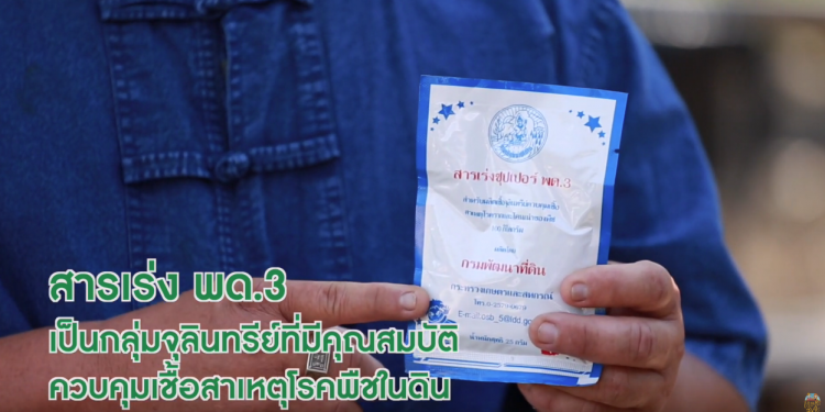 เคล็ดลับในการทำปุ๋ย พด 3
