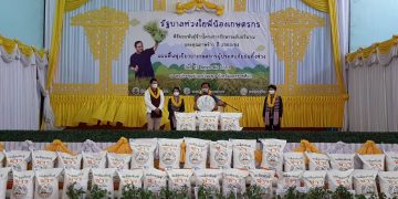 กรมการข้าว เผย ยังไงก็ต้องแจกเมล็ดพันธุ์ข้าว ให้พี่น้องเกษตรกรผู้ประสบภัยได้ปลูกทันฤดูทำนาแน่นอน..!!