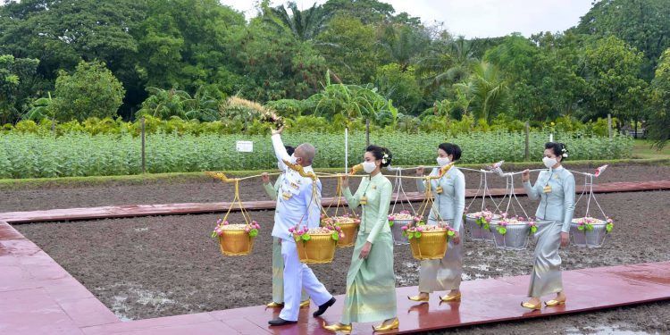 พิธีหว่านเมล็ดพันธุ์ข้าวในแปลงนาสาธิต สวนจิตรลดา