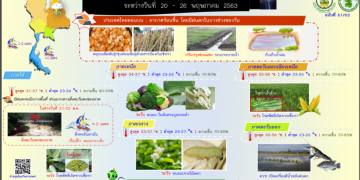 เข้าหน้าฝน กรมอุตุนิยมวิทยา เตือนเกษตรกรทั้ง 5 ภาคกับเรื่องที่ต้องระวัง