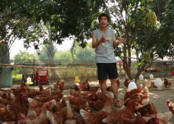 เอาตัวรอดจากโควิด วันที่ 1