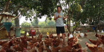 เอาตัวรอดจากโควิด วันที่ 1