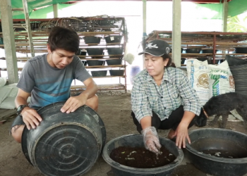 EP.3 : กักตัววันที่ 3 พาไปดูการสร้างรายได้เสริมด้วยการเลี้ยงไส้เดือน