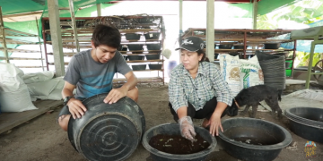 EP.3 : กักตัววันที่ 3 พาไปดูการสร้างรายได้เสริมด้วยการเลี้ยงไส้เดือน
