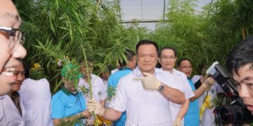ยังไม่ลืม..!! ‘อนุทิน’ เดินหน้าแก้พรบ.ยาเสพติด เพื่อปลดล็อกผู้ป่วย-เกษตรกรปลูกกัญชา ย้ำ ขอให้ประชาชน ผู้ป่วย เกษตรกรช่วยกันร่วมให้ความเห็น