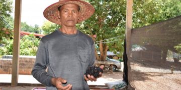 เกษตรกรหัวใส ปลูกบัวในถังพลาสติกเก็บ สายบัว สร้างรายได้ กำไรงาม