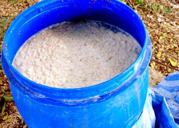 5 สูตรเด็ด ทำปุ๋ยเอง ไม่ต้องง้อยูเรีย