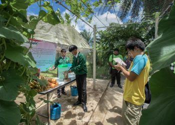สูตรทำสารพัดฮอร์โมนบำรุงต้น ดอก ผล