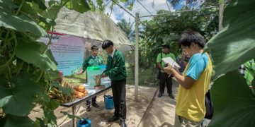 สูตรทำสารพัดฮอร์โมนบำรุงต้น ดอก ผล