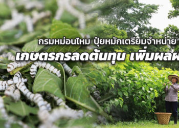 กรมหม่อนไหม ผลิตปุ๋ยหมักเตรียมจำหน่ายเกษตรกรลดต้นทุน เพิ่มผลผลิต