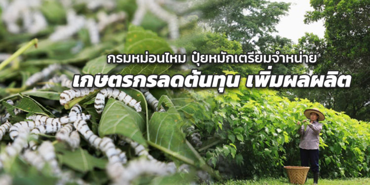 กรมหม่อนไหม ผลิตปุ๋ยหมักเตรียมจำหน่ายเกษตรกรลดต้นทุน เพิ่มผลผลิต