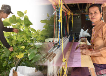 “แม่จงรักษ์” จ.ศรีสะเกษ เกษตรกรดีเด่นหม่อนไหม ปี 2564