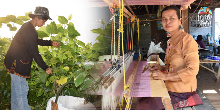 “แม่จงรักษ์” จ.ศรีสะเกษ เกษตรกรดีเด่นหม่อนไหม ปี 2564