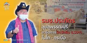 รมช.ประภัตร ลุยถิ่นดอนเจดีย์ – อู่ทอง สุพรรณบุรี สาธิตการฉีดวัคซีน (LSDV) ในโค – กระบือ
