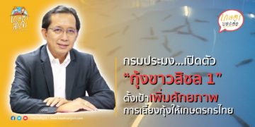 กรมประมง…เปิดตัว “กุ้งขาวสิชล 1”  หลังวิจัยได้สำเร็จ ตั้งเป้ากระจายพ่อแม่พันธุ์เพิ่มศักยภาพการเลี้ยงกุ้งให้เกษตรกรไทย