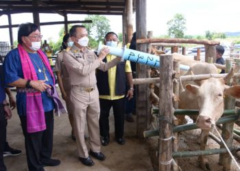 รมช.ประภัตร เปิดโครงการรณรงค์การป้องกันและควบคุมโรคลัมปี – สกิน จังหวัดตาก