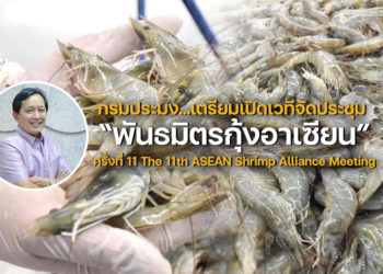 กรมประมง…เตรียมเปิดเวทีจัดประชุม “พันธมิตรกุ้งอาเซียน” ครั้งที่ 11 The 11th ASEAN Shrimp Alliance Meeting