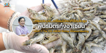 กรมประมง…เตรียมเปิดเวทีจัดประชุม “พันธมิตรกุ้งอาเซียน” ครั้งที่ 11 The 11th ASEAN Shrimp Alliance Meeting