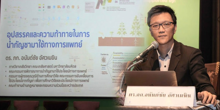 กัญชากับทิศทางนโยบายของประเทศไทย