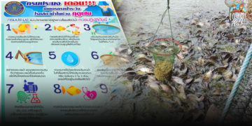 หน้าฝน ชาวประมงเตรียมรับมือ