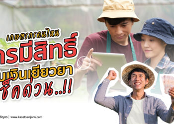 เลิกสงสัย..!! ฟ้าทะลายโจร ป้องกันโควิดได้จริง ? วันนี้เกษตรสัญจรมีคำตอบ