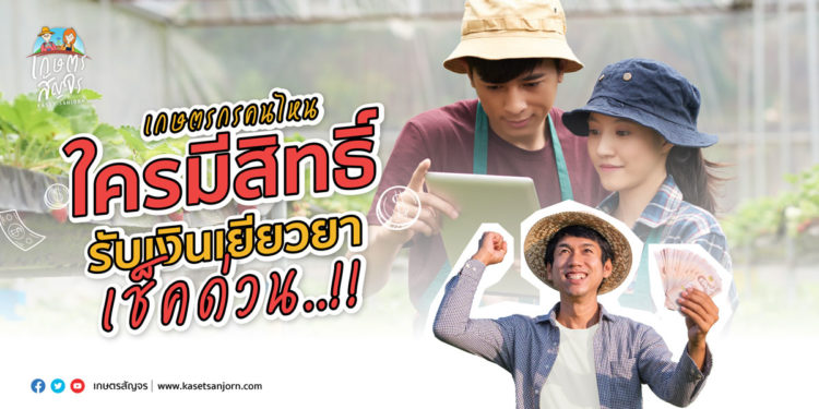 เลิกสงสัย..!! ฟ้าทะลายโจร ป้องกันโควิดได้จริง ? วันนี้เกษตรสัญจรมีคำตอบ