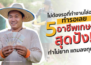 ไม่ต้องรอที่ทำงานไล่ออก..!! ทำรอเลย 5 อาชีพเกษตรสุดปังทำไม่ยาก แถมลงทุนน้อย