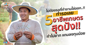 ไม่ต้องรอที่ทำงานไล่ออก..!! ทำรอเลย 5 อาชีพเกษตรสุดปังทำไม่ยาก แถมลงทุนน้อย