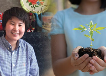 เกษตรกรมือใหม่ปลูกกัญชาอย่างไรให้ถูกกฎหมาย