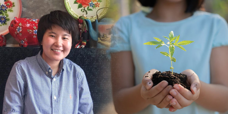 เกษตรกรมือใหม่ปลูกกัญชาอย่างไรให้ถูกกฎหมาย