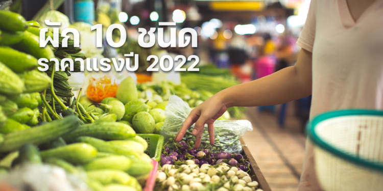 ปลูกรอเลย!! ผัก 10 ชนิด ราคาแรงปี 2022
