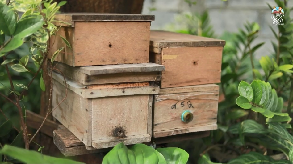 กล่องลังผึ้งชันโรง