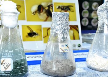 แก้ไขโรคและแมลงด้วยชีวภัณฑ์