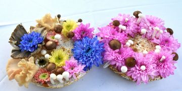 Seeding-Rebirth กระทงจากเส้นใยเห็ดรา