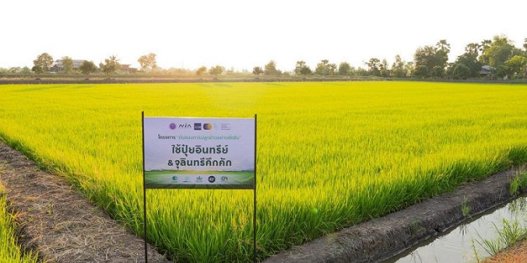 เอ็นไอเอ-ธนาคารพัฒนาเอเชีย หนุนสตาร์ทอัพเกษตรไทย