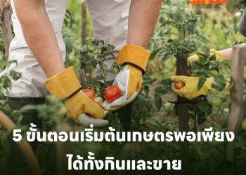 5 ขั้นตอนเริ่มต้นเกษตรพอเพียง