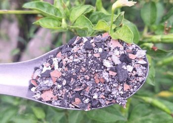 สูตรปุ๋ยจากเปลือกไข่และถ่าน