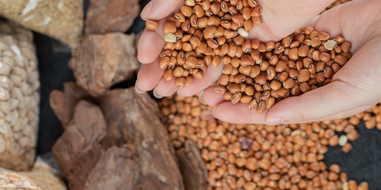 เลือกเมล็ดพันธุ์ยังไง ?