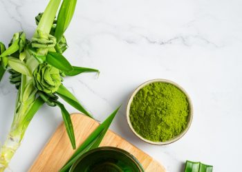 เคล็ดลับปลูกใบเตยให้โตไว 