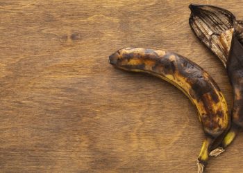 เปลือกกล้วย ปุ๋ยชั้นดีจากธรรมชาติ 