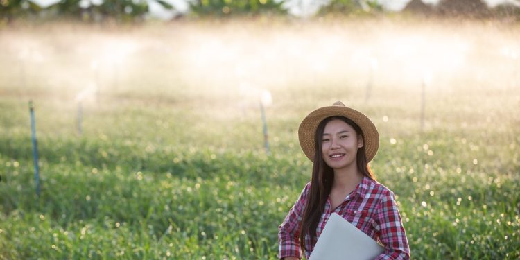 ฟรี! E-Book คู่มือการออกแบบระบบน้ำ