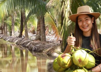 Coco Cowboy คาเฟ่ การต่อยอดสวนมะพร้าวน้ำหอม