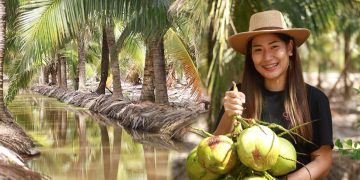 Coco Cowboy คาเฟ่ การต่อยอดสวนมะพร้าวน้ำหอม