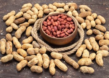 วิธีปลูกถั่วลิสงช่วงฤดูร้อน 