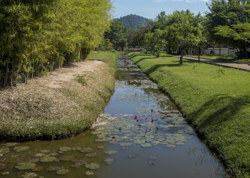 เทคนิคการทำ คลองไส้ไก่